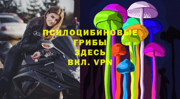 ешки Вязьма