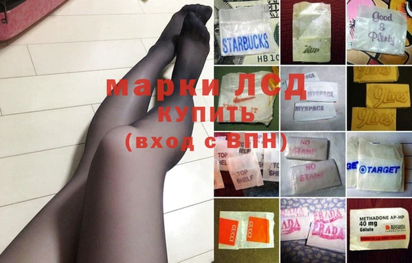 ешки Вязьма