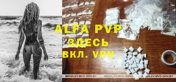 ешки Вязьма