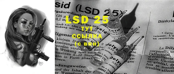 ешки Вязьма