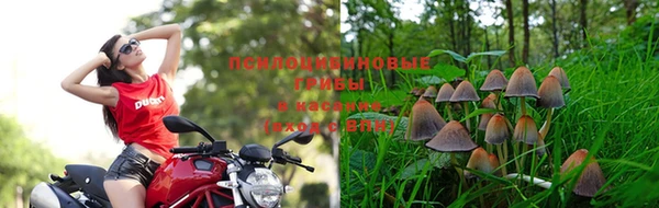 кокаин Вяземский