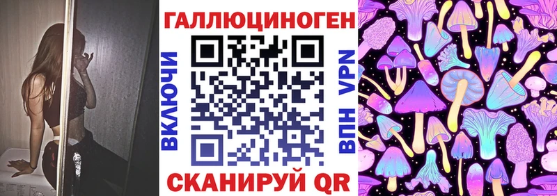 Купить где  Новомичуринск  Псилоцибиновые грибы Magic Shrooms 